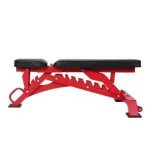 Adjustable Strength Training Bench